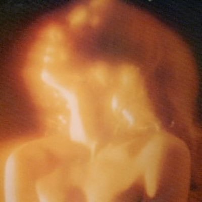 andreacalsg's profile picture. 🏹