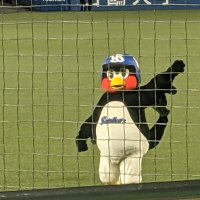 🐧トモ🐧 (@to_mo_sw2019) 's Twitter Profile