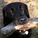 Mark Grube - @smokebubba - Twitter