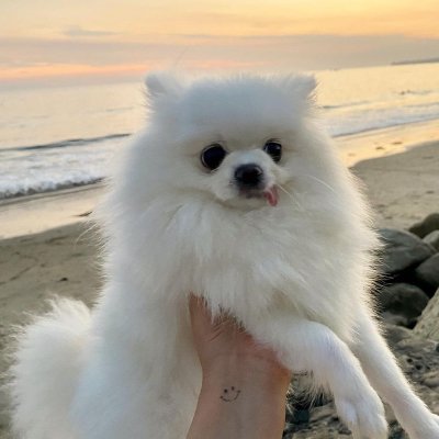 awdr80772089's profile picture. Sassy, classy, and bad-assy.