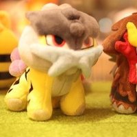 とら🐯&たきまる (@shind3rd) 's Twitter Profile