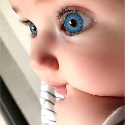 Medical
الكلمة الحلوة تدوم من بعد صاحبها
يازارع الورد تجني من حصاده الفووح
وزارع الشوك يجني من حصاده جراح