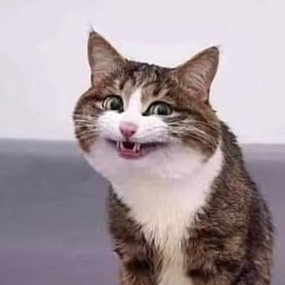 RoughayaAbass's profile picture. واجعلني مقيم الصلاة ومن ذريتي