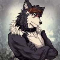 ♡Joseph kuang(lobo o humano)♡ (@josephkuang1) 's Twitter Profile