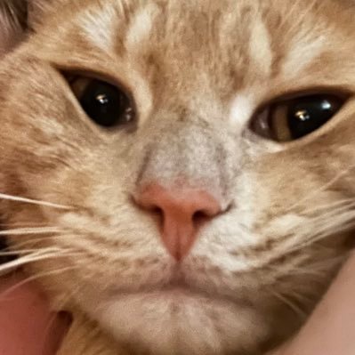 vxnxcebxtch's profile picture. always look like you're having fun. and if you're not having fun, then just leave -paris hilton