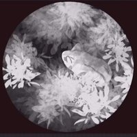ChaosZombie999 (@chaoszombie999) 's Twitter Profile