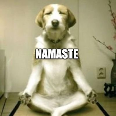 refrshchef's profile picture. 