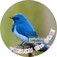 青い鳥tomo(@yuzubluewings1) 's Twitter Profile Photo