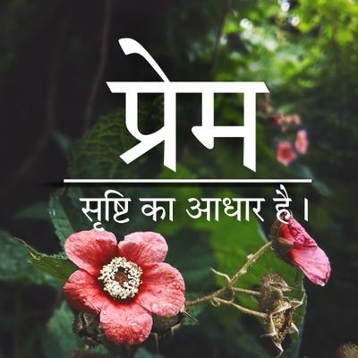 Naqaab1298's profile picture. शिक्षिका एवं लेखिका।