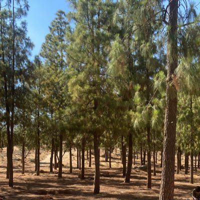 AD_1o's profile picture. 