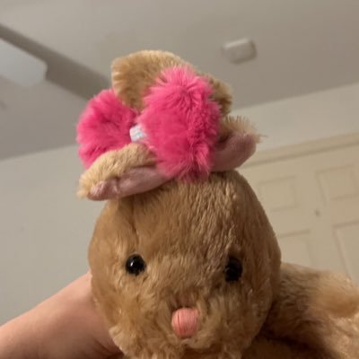 annieisafox's profile picture. 22 • she/her