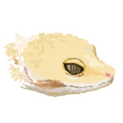 こくみさんのプロフィール画像