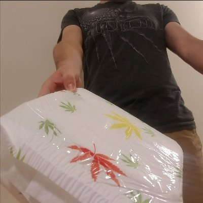 Late 20s switch into diapers, ankle socks, cute things and pups/furries. Software dev nerding out on tech and flying machines. 

🇨🇦 18+