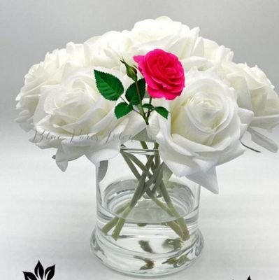 MOHAMMA66531755's profile picture. 