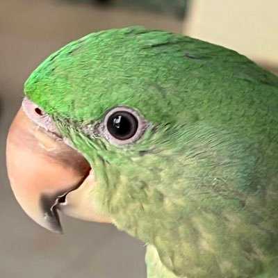 cmaDxB's profile picture. 