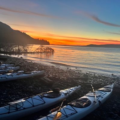 seebee1989's profile picture. 