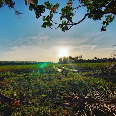 anasmalik18's profile picture. Global elite