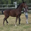 Tamara Smith - @TamaraS16516453 - Twitter