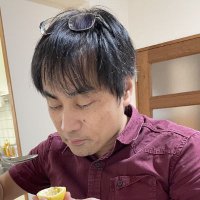 Katsuya Shimabukuro, PhD | Low Vision Scientist(@kshimabuLV) 's Twitter Profile Photo