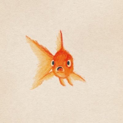 Misoさんのプロフィール画像