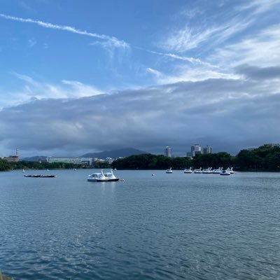 L4TR5gdbmNaD8oP's profile picture. 