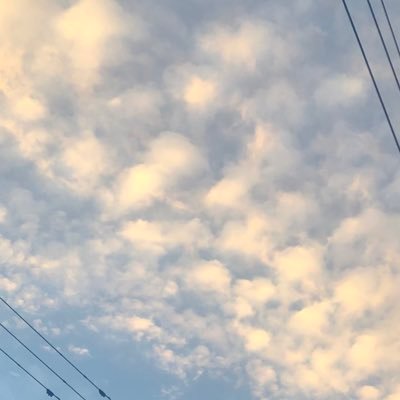 Tp0uD's profile picture. 