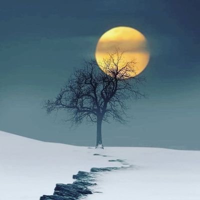 Howtoknow21's profile picture. 