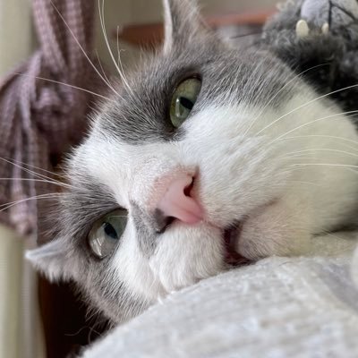 yuitter_96's profile picture. 自由人🤪