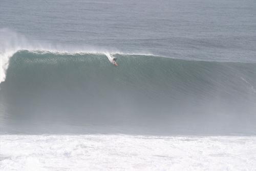 medinaprosurfer's profile picture. Surfista Profesional Chileno