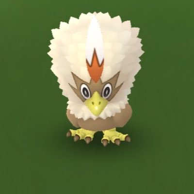 YKgo_Pokemon's profile picture. ポケモンGO 楽しんでます🤓 青 TL50 PVP少しずつ頑張ってます😁よろしくお願いします🥰大親友玉子使いません😊間違えて開けてしまったらごめんなさい🙇‍♂️