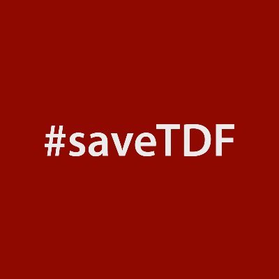 Archiv-Seite von #saveTDF - eine Initiative für Demokratie, Transparenz und Vernetzung im Verein TERRE DES FEMMES.