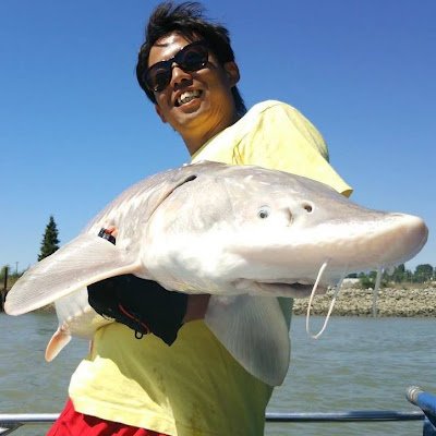 サケ科・ウナギ属・チョウザメ科の回遊・生殖・闘争・死などの研究。
北海道大学FSC七飯淡水実験所准教授(独り所長)。
水産学部増殖生命・環境科学院生物圏兼担。
鹿児島出身。函館移住3年目。
所属組織ではなく個人の見解です。