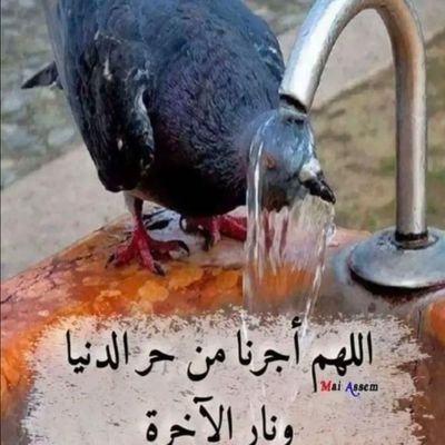 الحمد لله على حياة يدبرها ألله برحمته ..