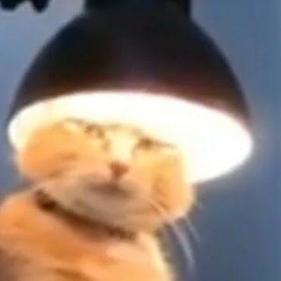 Napsuttaja's profile picture. 