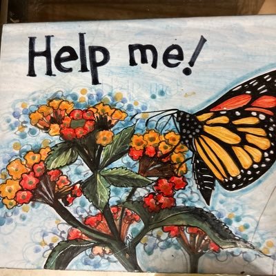 To promote the economic independence of disadvantaged women, elderly, teens providing clothing, network of support & the career development tools.