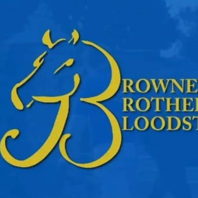 Browne Brothers Bloodstock offers full stud services,sales prep and representation whether you wish to buy or sell.