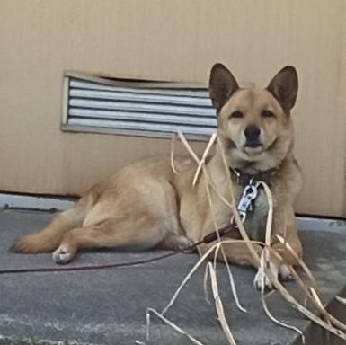 アルドン提督さんのプロフィール画像