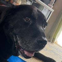 ロンロン🦕🪺 (@rock_arima0407) Twitter profile photo