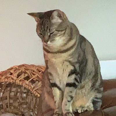 PezIsTooShort's profile picture. Local fighting game nerd and TO
Play +R
#BlackLivesMatter