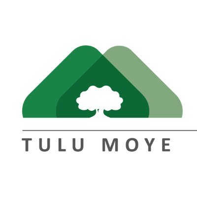 Tulu Moye Geothermal Operations PLC (TMGO) is a joint-venture company of the French firm Meridiam and Icelandic Reykjavik Geothermal. It was Launched in 2017.