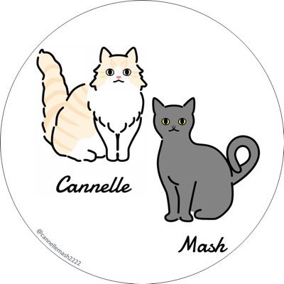 🐈#ミヌエット | #ブリティッシュショートヘア 🐈⬛Cannelle | Mash 🎂2022/2/2 | 2022/3/25 🎨Cream tabby | Blue 〜30代夫婦と2にゃんこの丁寧な暮らし〜 犬派の私が猫を飼い始めてメロメロに。#猫好きさんと繋がりたい