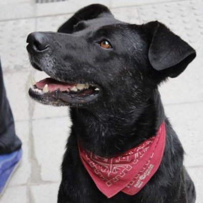 _dellacruzz's profile picture. Antifascista, agnóstico, corintiano e desiludido com a sociedade. Curto esoterismo e estudos sociais.