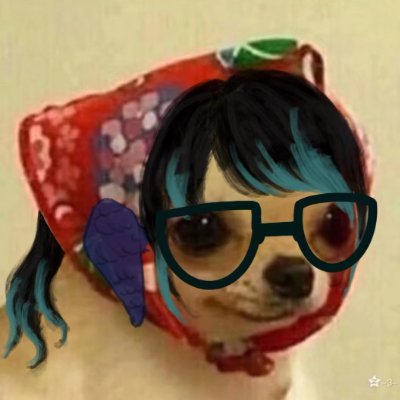 guyilll's profile picture. 对人过敏