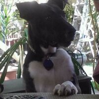 Joanne ( Jo ) (@joatnyte) 's Twitter Profile