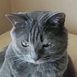 dS3ljtrxRhsMab5's profile picture. 旅行・競馬・腕時計・空手・映画鑑賞が趣味です。宜しくお願いします😀