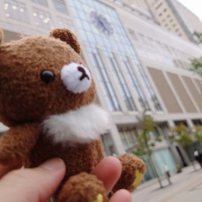 kgmChairo's profile picture. リラックマアンチなのにチャイロイコグマにこころを奪われてしまった者。
