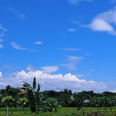 MitunDa54456593's profile picture. নেত্রকোণা