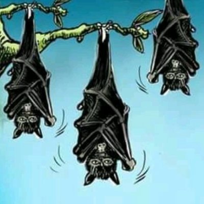 BismillahXWin1's profile picture. Be better to be a winner.