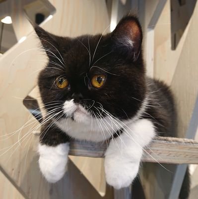 あじなさんのプロフィール画像