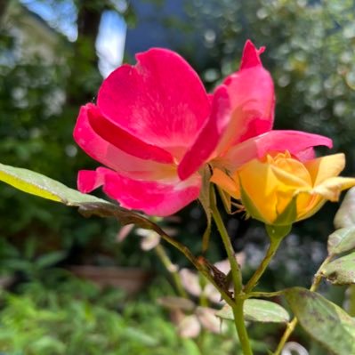 RntcB3's profile picture. 